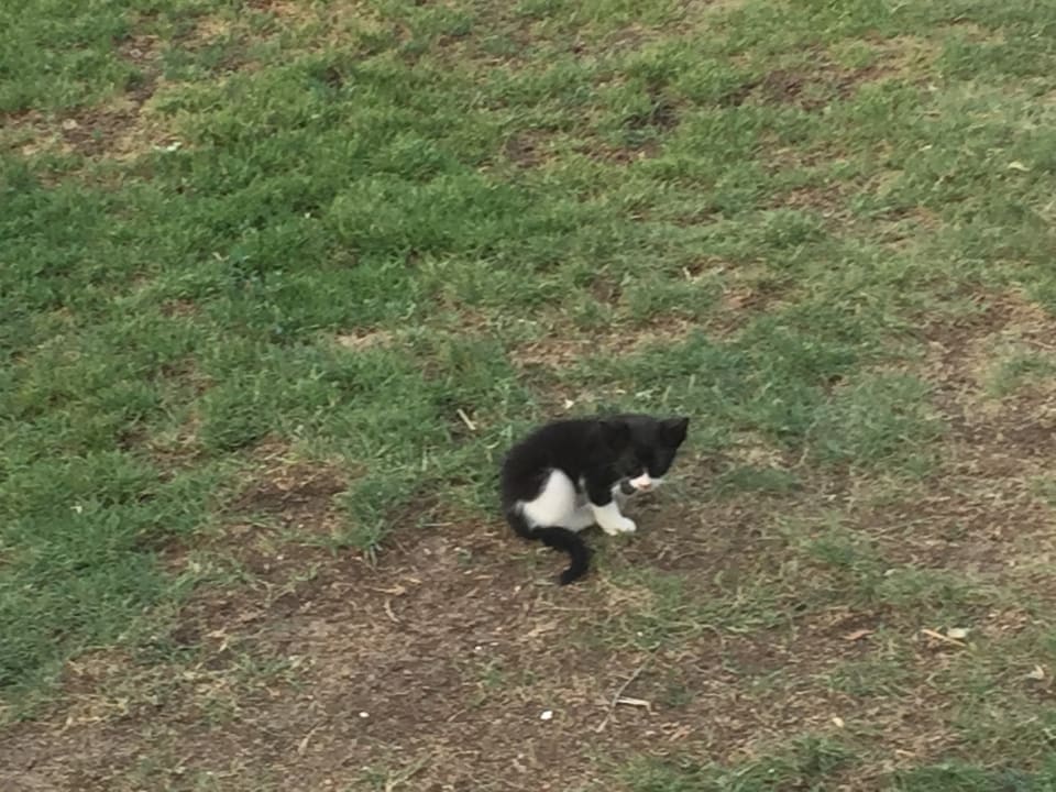 Gartenanlage The Grand Hotel Hurghada
