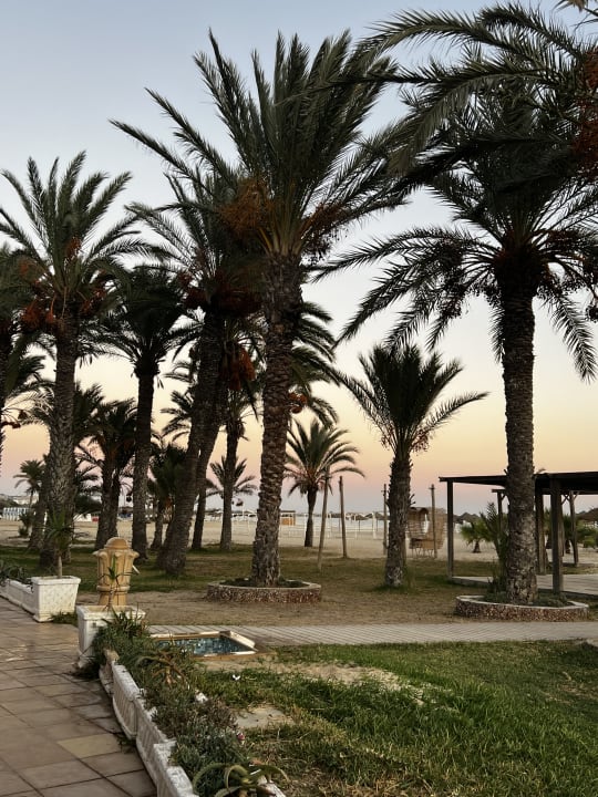 Gartenanlage Steigenberger Marhaba Thalasso Hammamet