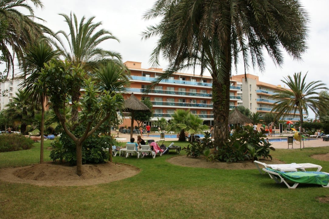 Widok od strony basenu Hotel Surf Mar