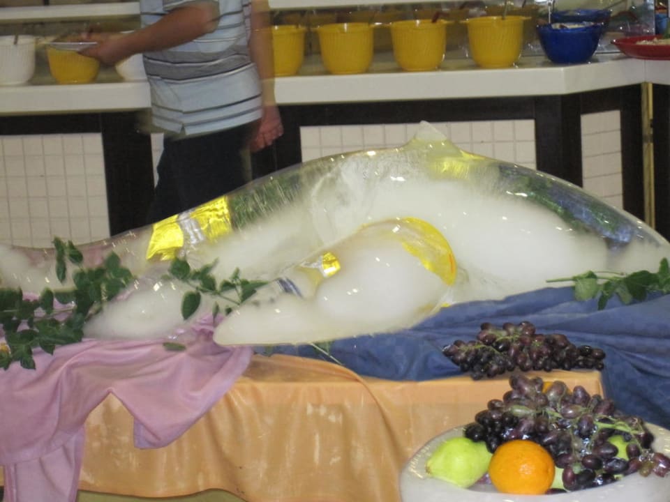 Fisch aus Eis Hotel Nova Park