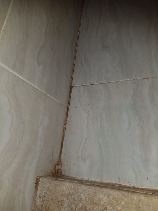 Zimmer Riviera Aqua Park Resort