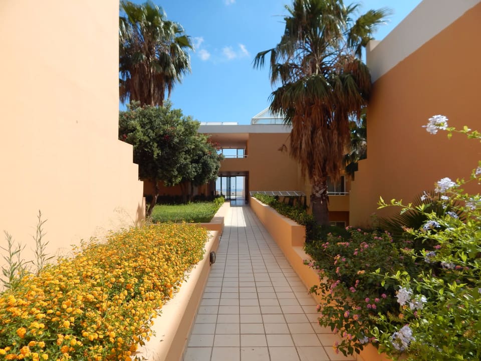 Royal Belvedere 4* Royal & Imperial Belvedere Resort