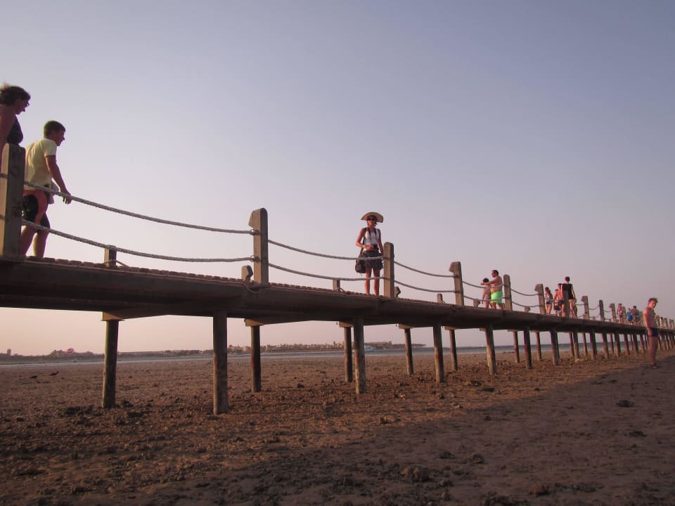 Wollen Sie täglich schnorcheln? Stella Beach Resort & Spa Makadi Bay