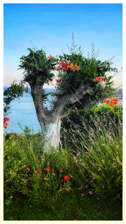 Gartenanlage Hotel Kalithea Horizon Royal