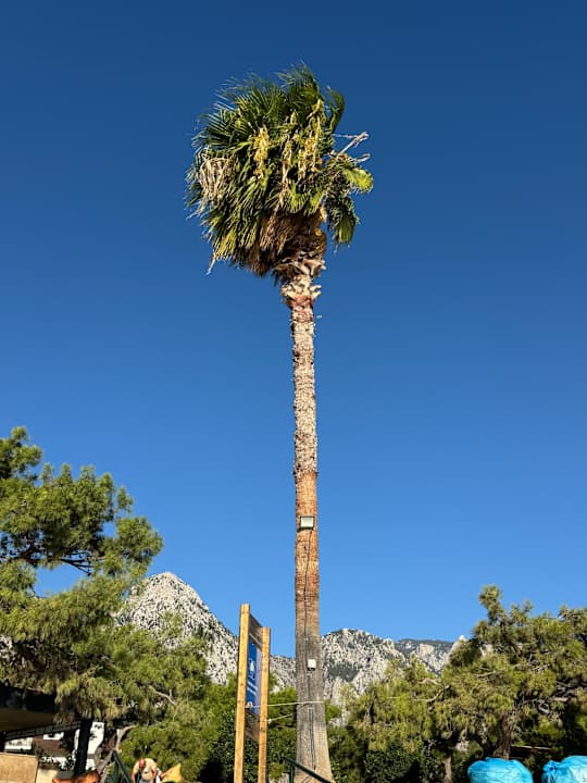 Gartenanlage TUI MAGIC LIFE Beldibi +16