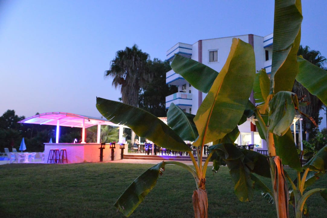 Gemütlicher Abend Skys Hotel