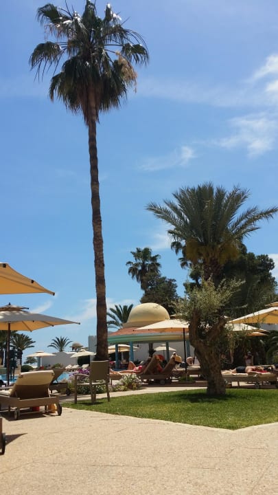 Pool Steigenberger Marhaba Thalasso Hammamet