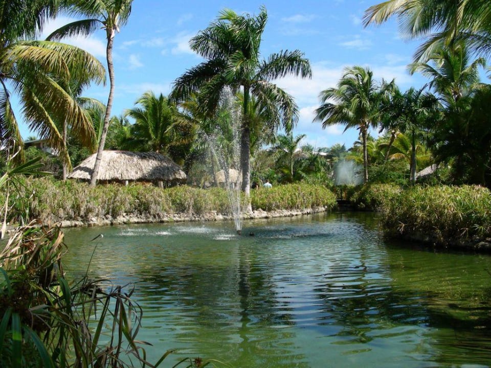 Gartenanlage Catalonia Punta Cana - All Inclusive