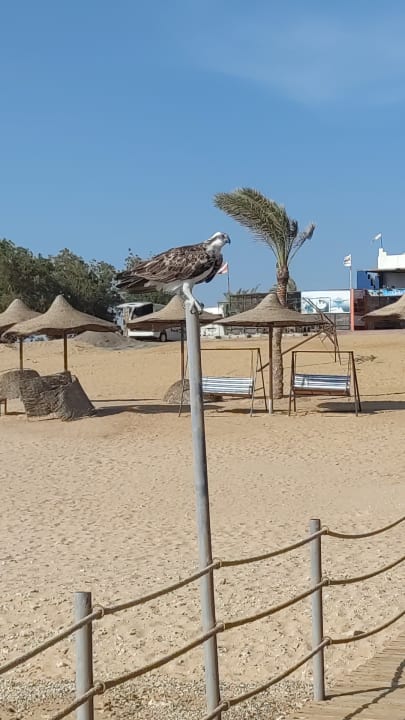 Strand Three Corners Sea Beach Resort