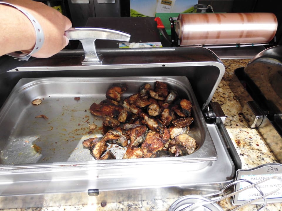 Fisch der zum vierten mal gegrillt wurde. Hotel Novum Garden Side