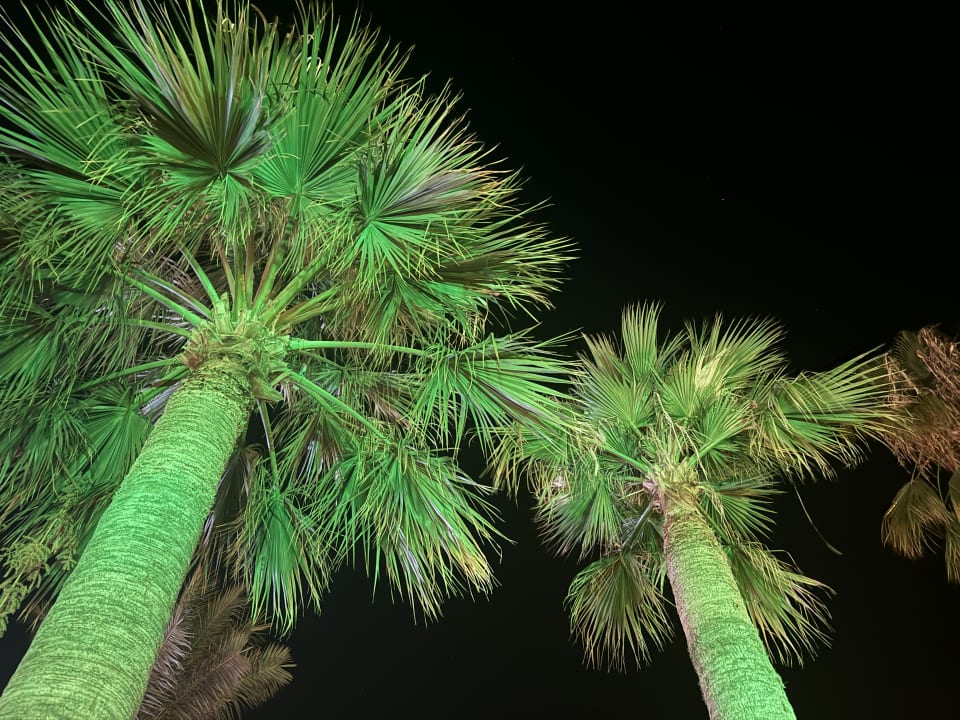 Sonstiges Salamis Bay Conti Resort Hotel & Casino