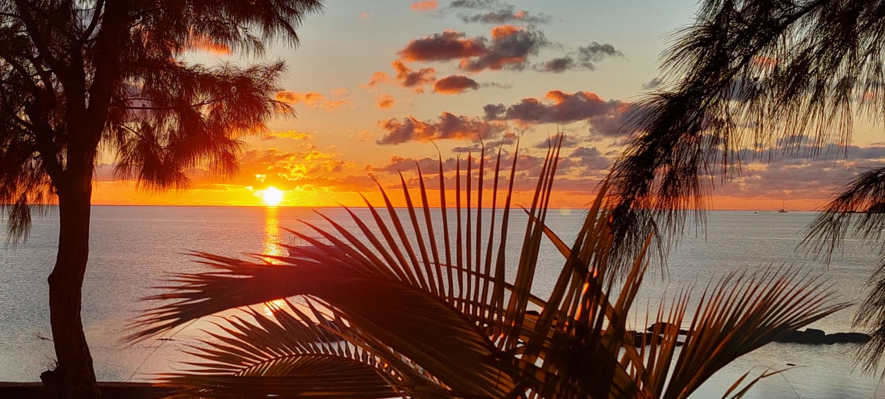 Gartenanlage Lagoon Attitude - Adults only