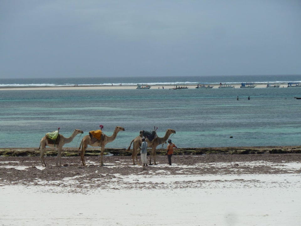 Blick zum Strand Baobab Beach Resort & Spa