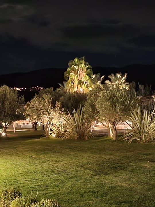 Gartenanlage alltoura Club Hotel Poseidon Palace