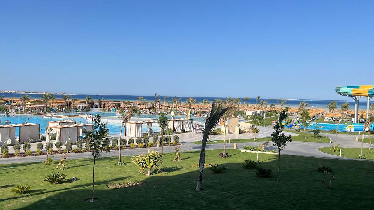 Zimmer JAZ Elite Asteria