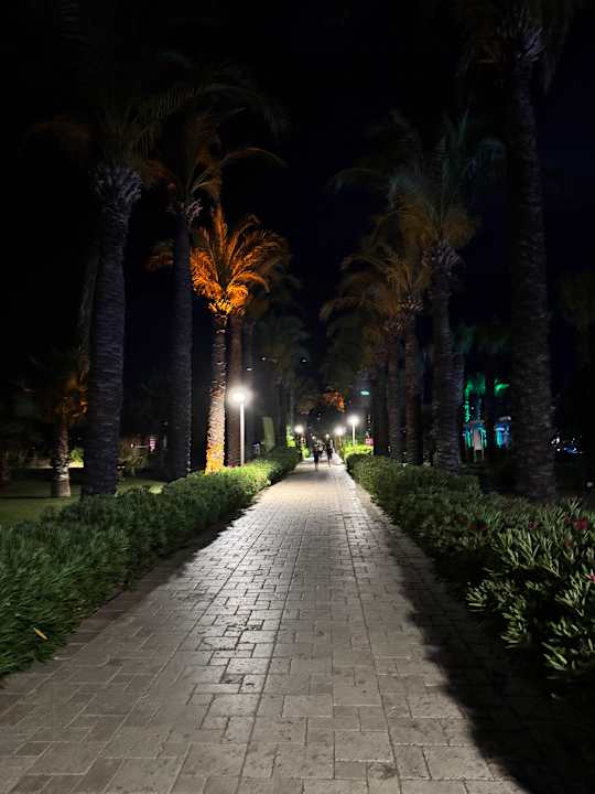 Gartenanlage Calimera Serra Palace