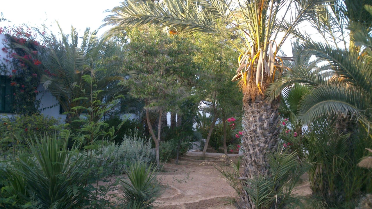 Zwischen den Bungalows Hotel Sangho Club Zarzis
