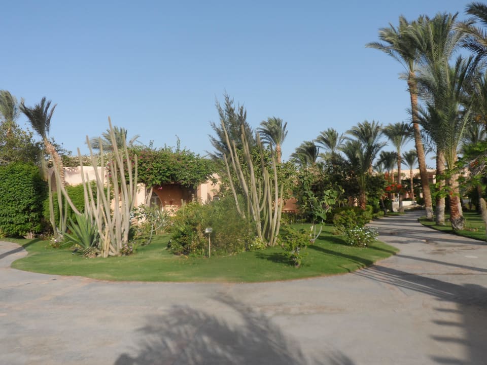 Kakteen Hotel JAZ Makadi Star & Spa