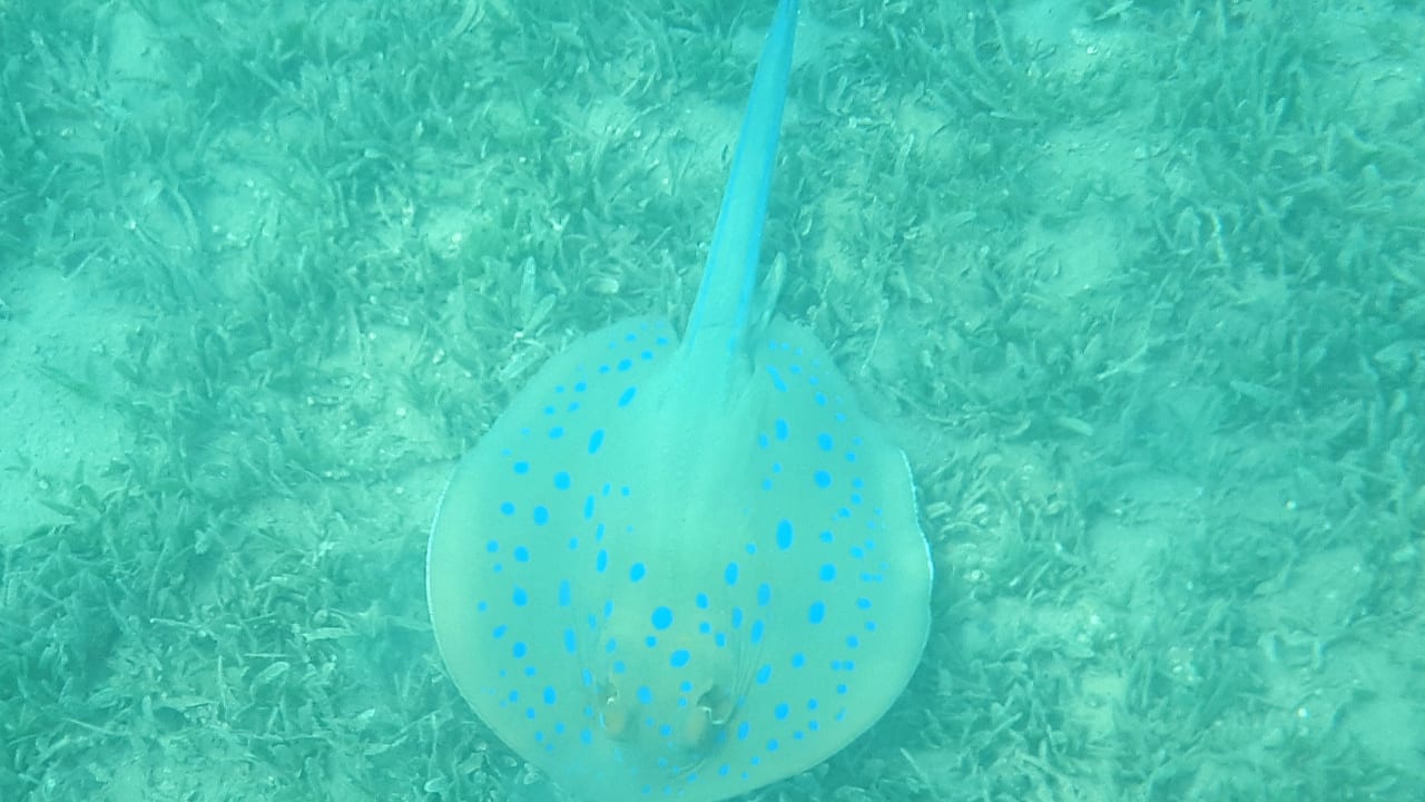 Sport & Freizeit Jaz Makadi Saraya Resort