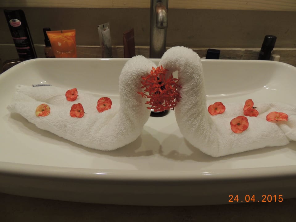 Auch das gibt es Villas Bavaro Resort & Spa