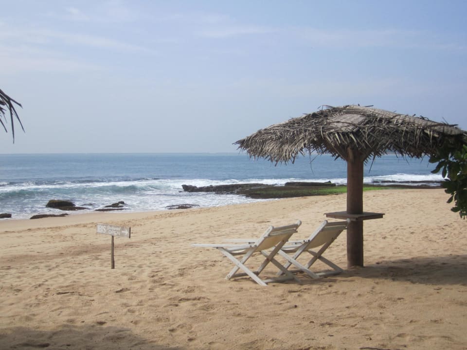Relaxen am Ibis Strand Ibis Guesthouse