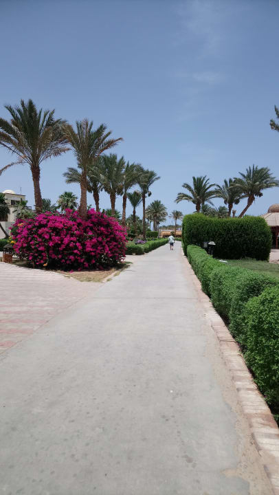 Sonstiges Regency Plaza Aqua Park & Spa