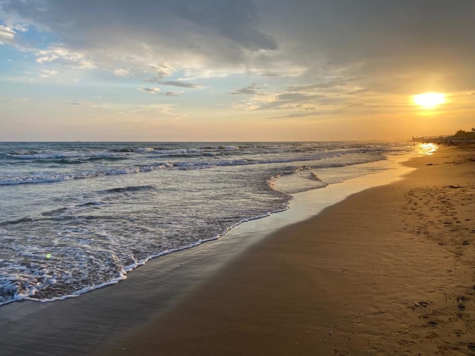 Strand Paloma Oceana