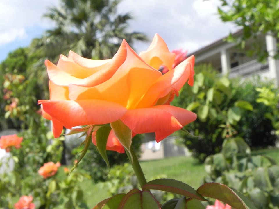 Garten Hotel Kalives Resort