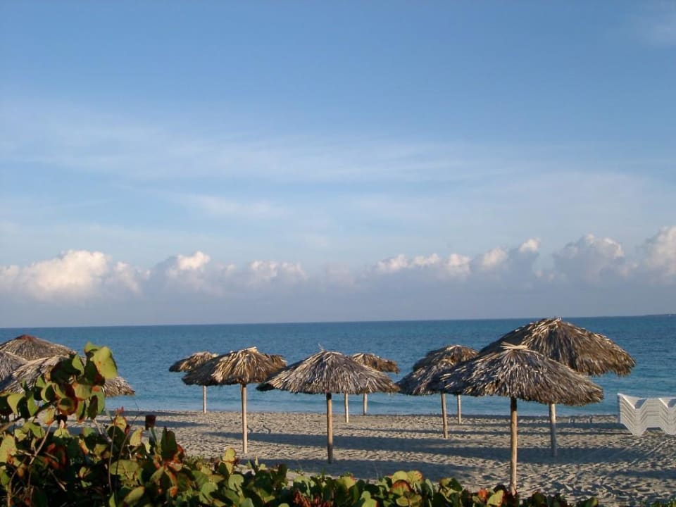 Strand Iberostar Origin Playa Alameda