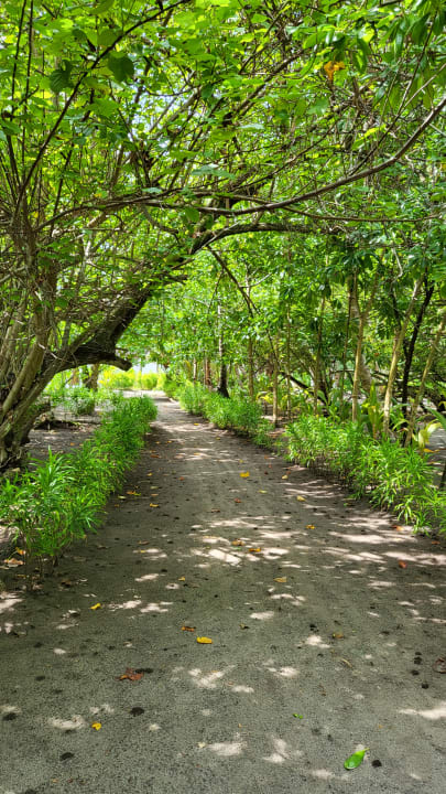 Gartenanlage Filitheyo Island Resort