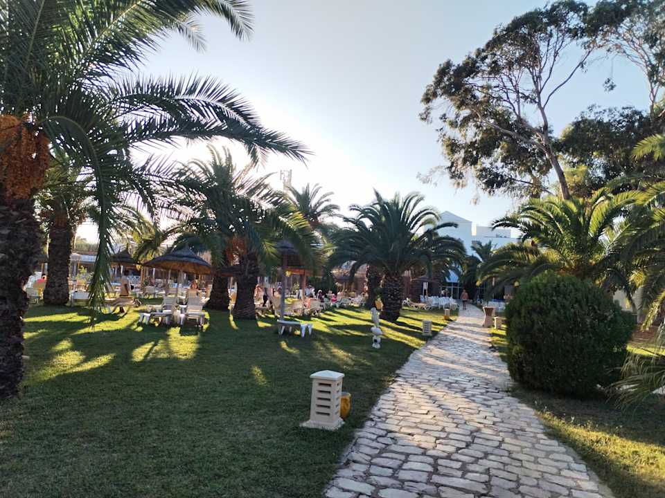 Pool Shalimar Hammamet