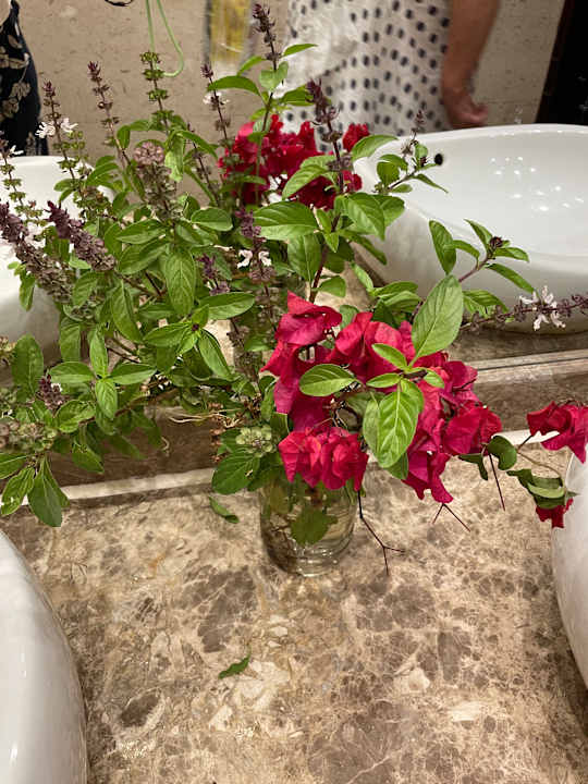 Sonstiges Royal Star Beach Resort