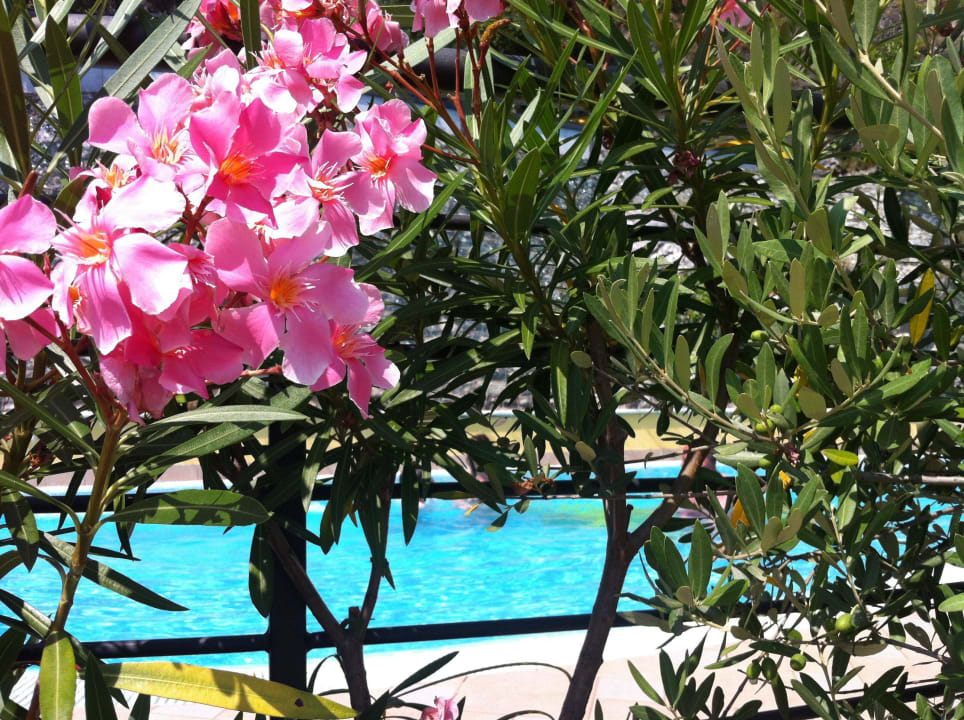 La piscina Villa Dirce