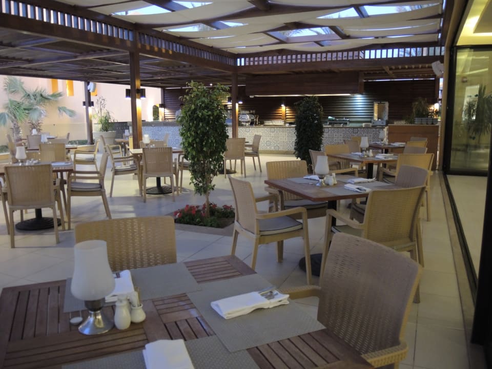 Gastro Jaz Solaya