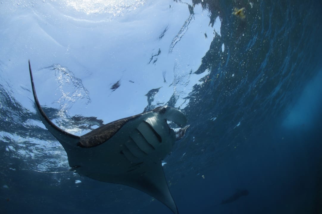 Strand Ocean Sun Dive Resort