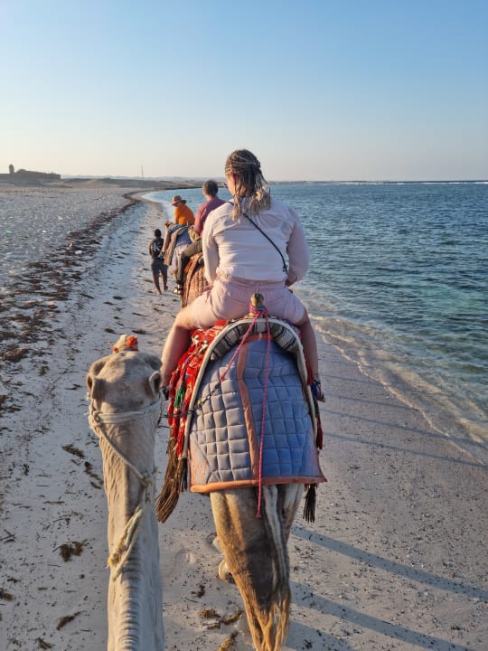 Sonstiges Lazuli Hotel Marsa Alam