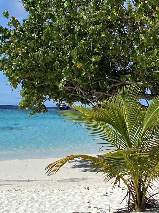 Strand Adaaran Select Meedhupparu Island Resort - Premium All Inclusive