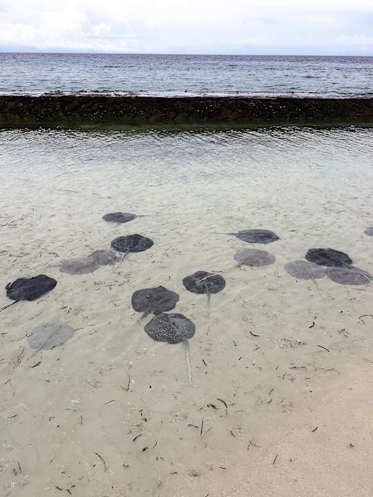 Strand Kuredu Island Resort & Spa