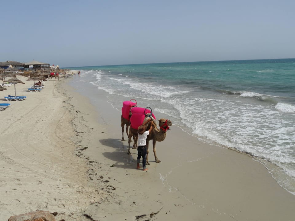 Plážička 2015 Caribbean World Thalasso Djerba