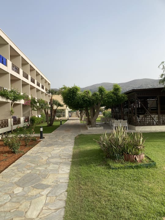 Gartenanlage allsun Hotel Malia Beach