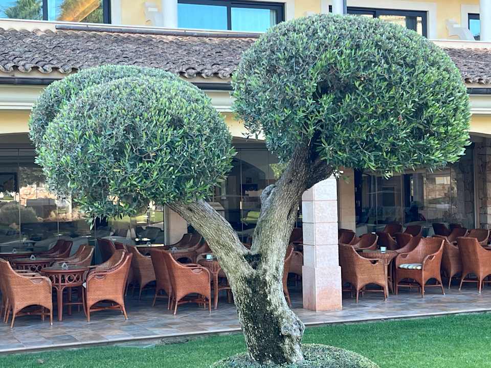 Außenansicht CM Mallorca Palace - Adults Only