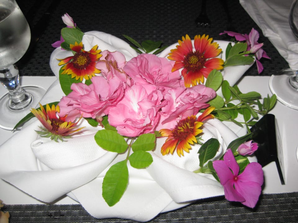 Gastro Djerba Plaza Thalasso & Spa