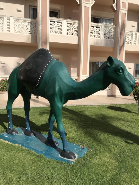 Gartenanlage Pickalbatros Palace Resort