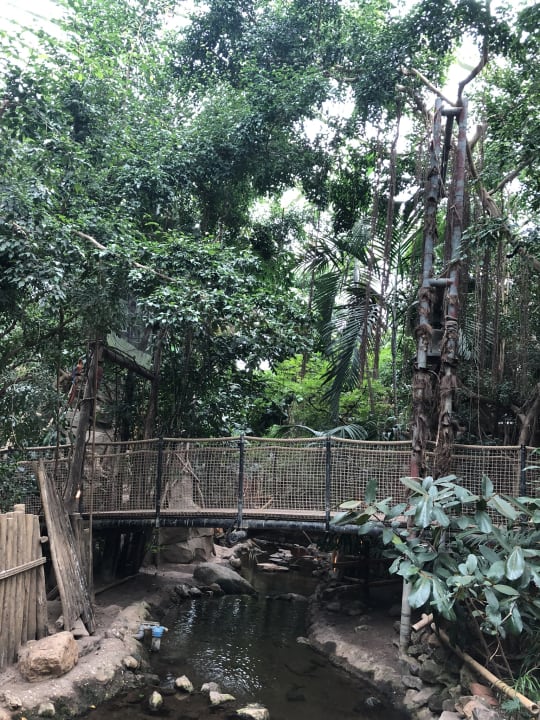 Sport & Freizeit Center Parcs Het Heijderbos