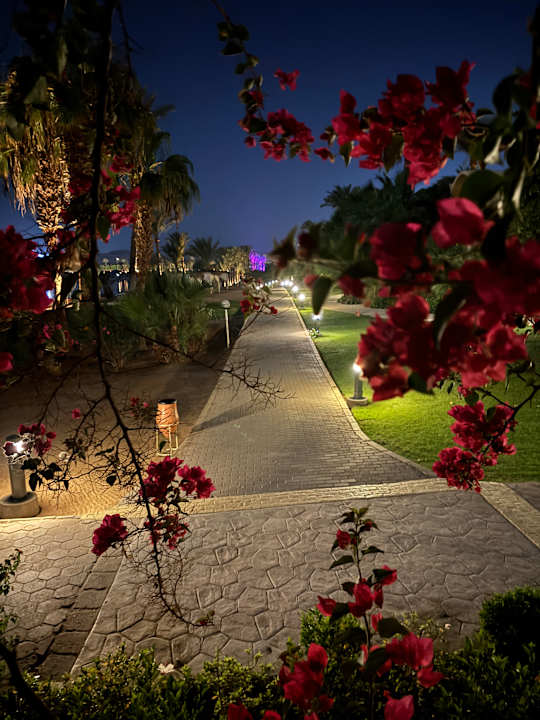 Sonstiges Steigenberger Coraya Beach - Adults only