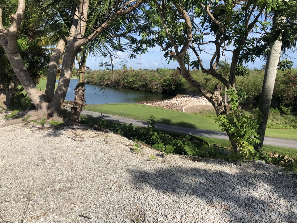 Gartenanlage Iberostar Waves Punta Cana