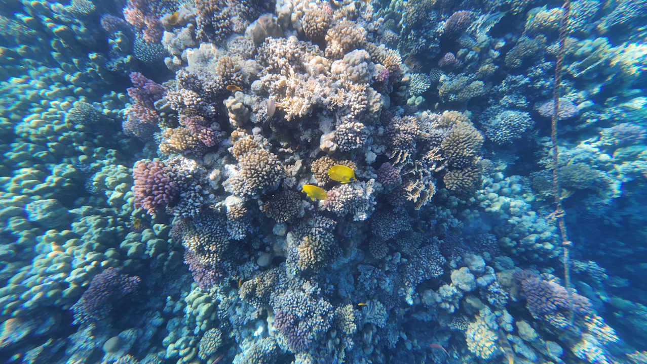 Sonstiges Grand Makadi