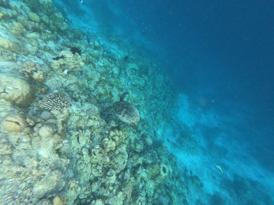 Strand Adaaran Select Meedhupparu Island Resort - Premium All Inclusive