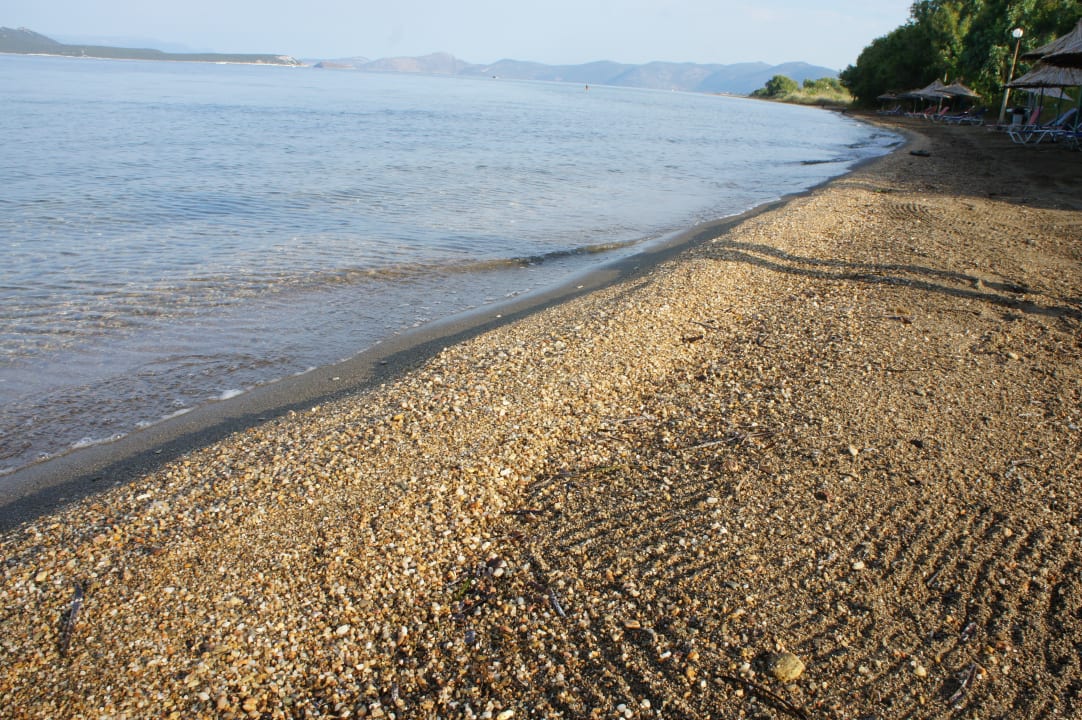 Strand Hotel Venus Beach