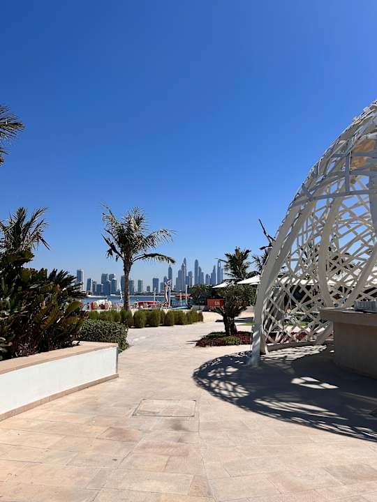 Pool W Dubai - The Palm